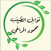 Mahmoud Elmaraghy