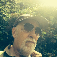 Chris Whyatt