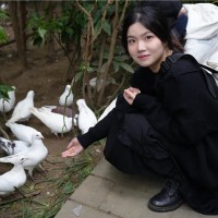 Yiting Qin