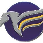 Pegasus Security