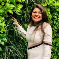 Ankita Divekar