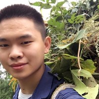 李大辉