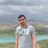 mehran rostami