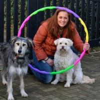 Wendy van Gestel