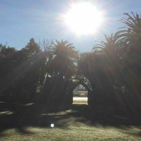 Hinemoana Durie-Shedlock