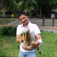 Hwa Loong Lai