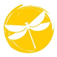 Dragonflies Everywhere