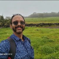 Nilesh S