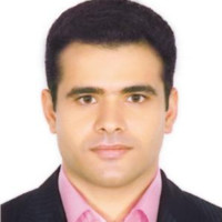 Seyedsaeid Mirkamali