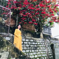 Thu Phan