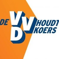 Vvd Online Team