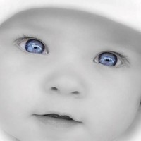 Faizan Ali