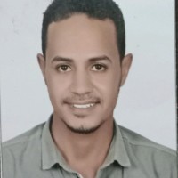 Wageeh Mohamed