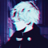 V O X Developer