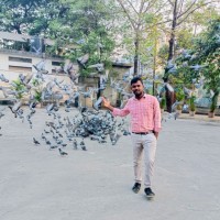 Siva K