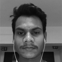 Harshal Meshram
