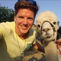 Tom van Meurs