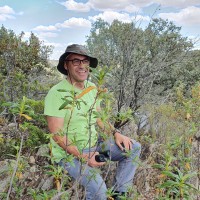Paulo Maio