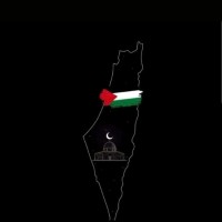 Mohamed I. S.
