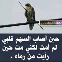 Said Byadi