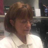 Anna Polisiakiewicz