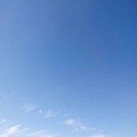 王宝东