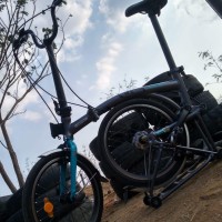 Muhammad Dimas Triyanto