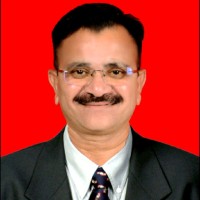 Nitin Vishwanath Bhoraokar