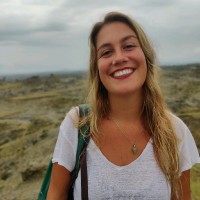 Lisa Plantinga
