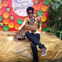 k Vijaykumar