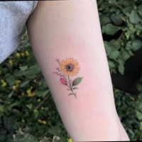 Cộng Đồng Sức Khỏe