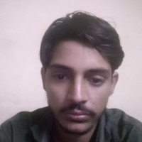 Naresh Rabari