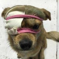 朱晓凯