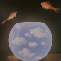 Simon Shaw