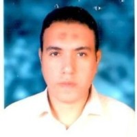 Nasr Kamel