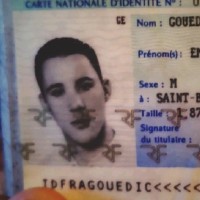 emmanuel gouedic