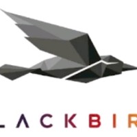 Black Bird