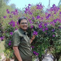 Prabu R