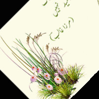 Rehmat Karim