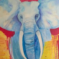 Jane Parker  (Ringrose)