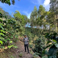 DHAVIDS NOBLEJAS - NEGOCIOS INTERNACIONALES - ADEX