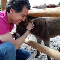 Mehmet Orçun Başkaya