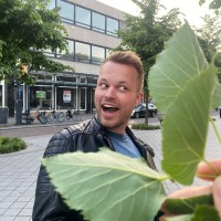 Jesse Evertse