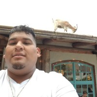 edgar castillo