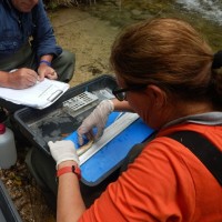 Amadora Rodríguez Ruíz