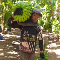 Marcelo Ferreira Lopes