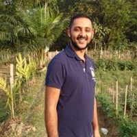 Saiful Hoque