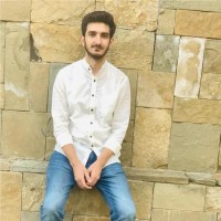 Faisal Hameed