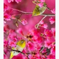 钟丽珍