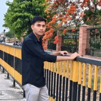 Vikash Meena